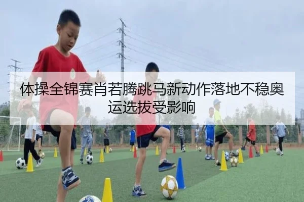 体操全锦赛肖若腾跳马新动作落地不稳奥运选拔受影响