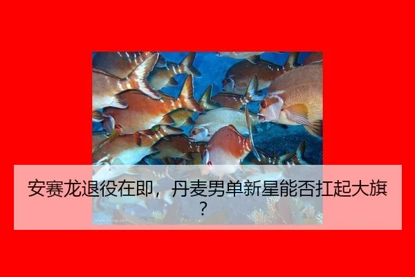 an-sai-long-tui-yi-zai-ji-dan-mai-nan-dan-xin-xing-neng-fou-kang-qi-da-qi-2-654.jpg